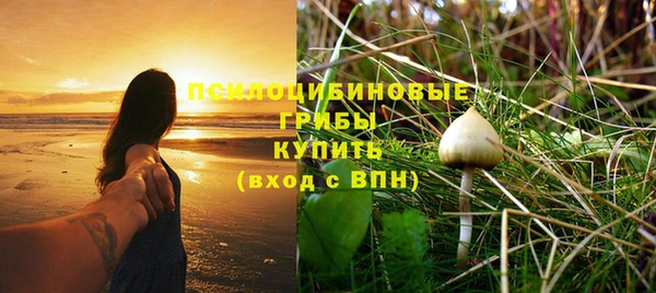 ECSTASY Алексин