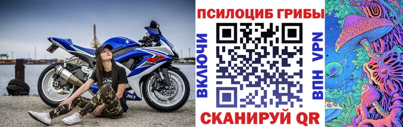 как найти закладки  Ленинск  Псилоцибиновые грибы Psilocybine cubensis 